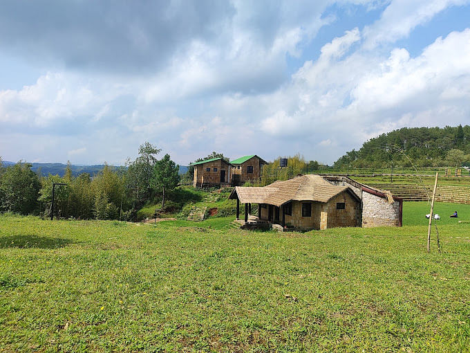 blog-images