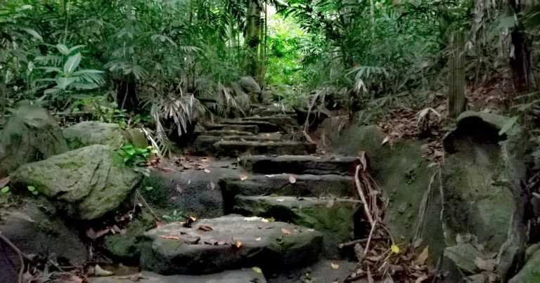 bukit-batok-hill-singapore