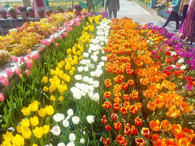blog-images