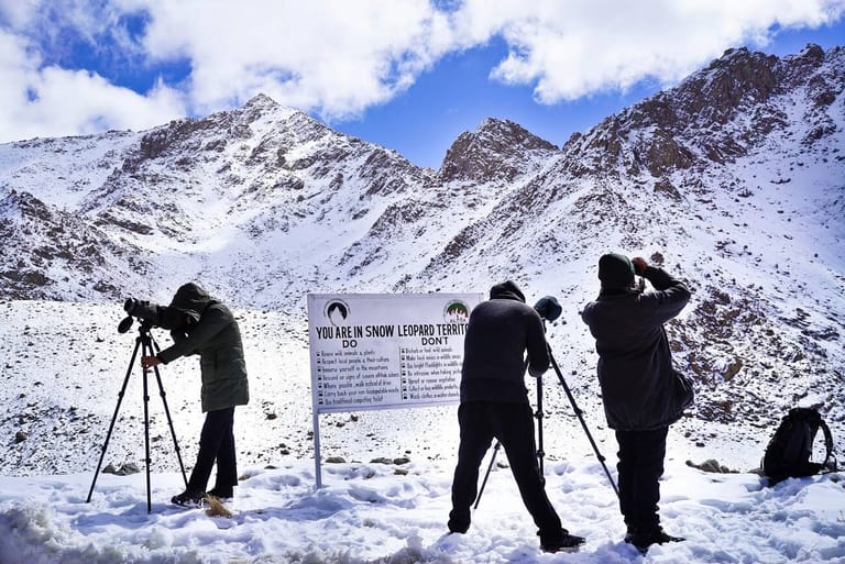 snow-leopard-adventures-in-ladakh