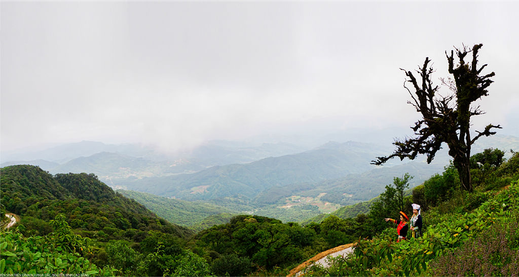 phia-oac-phia-den-national-park