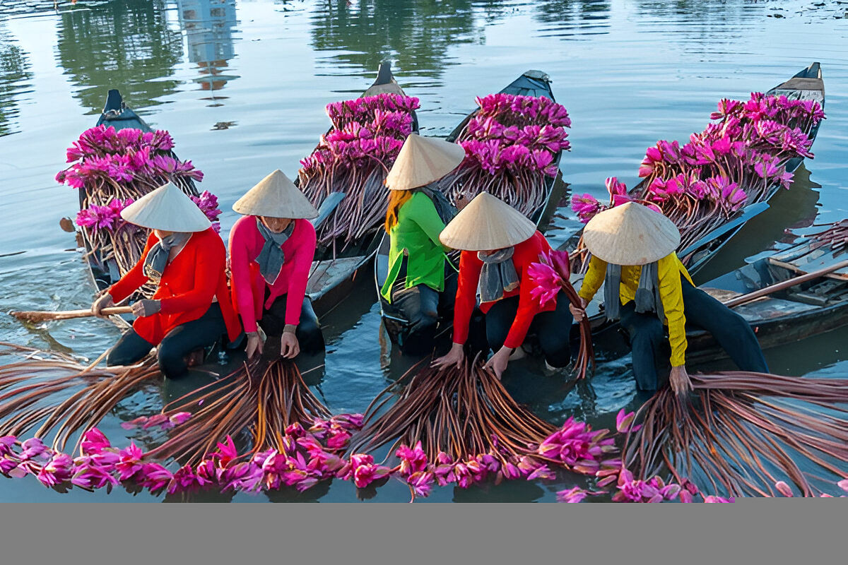 vietnam-in-nov