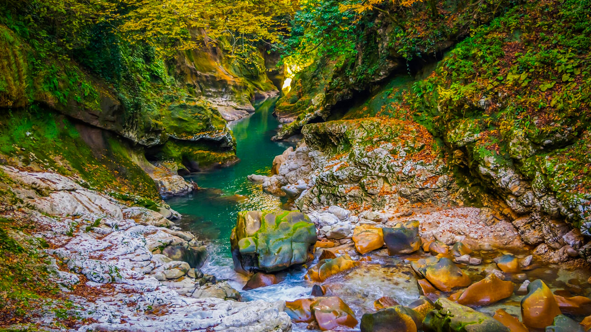 blog-images