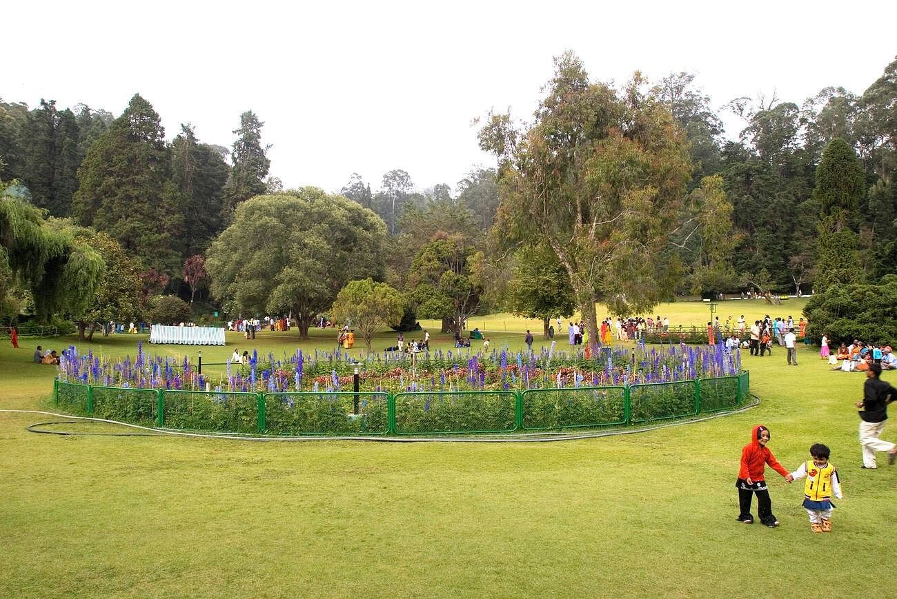 ooty-festival