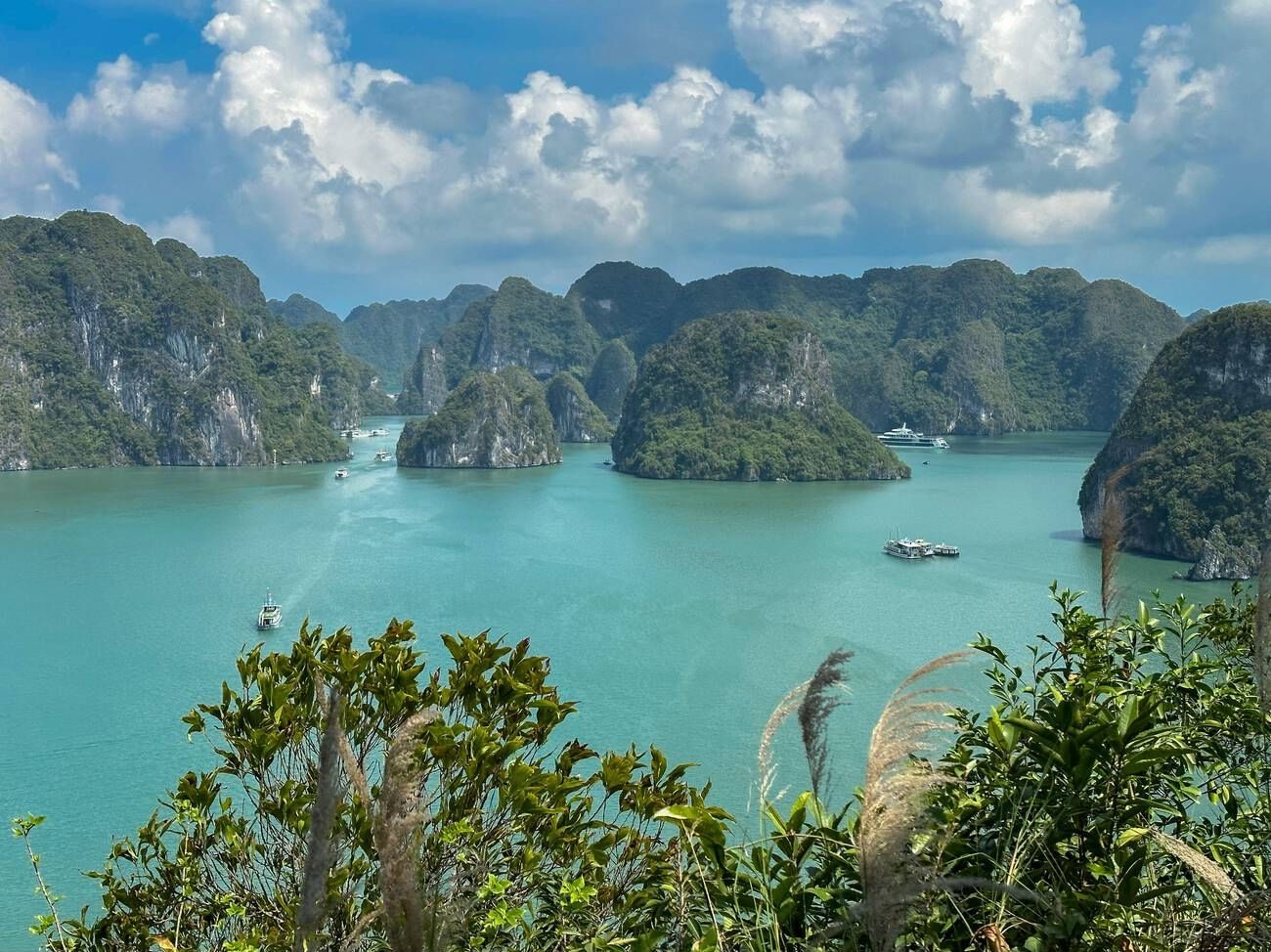 ha-long-tuan-chau-vietnam