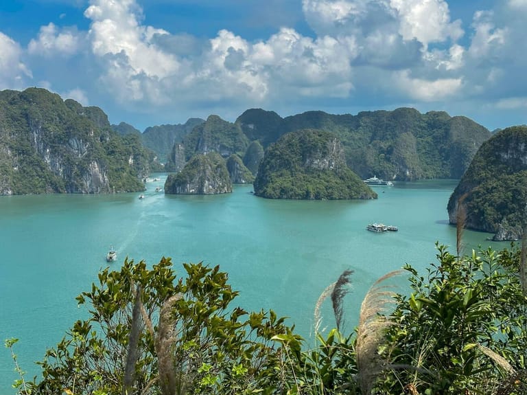 ha-long-tuan-chau-vietnam
