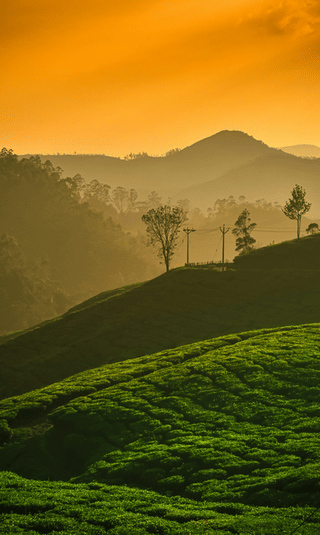 4 Days Best Kerala Tour Package