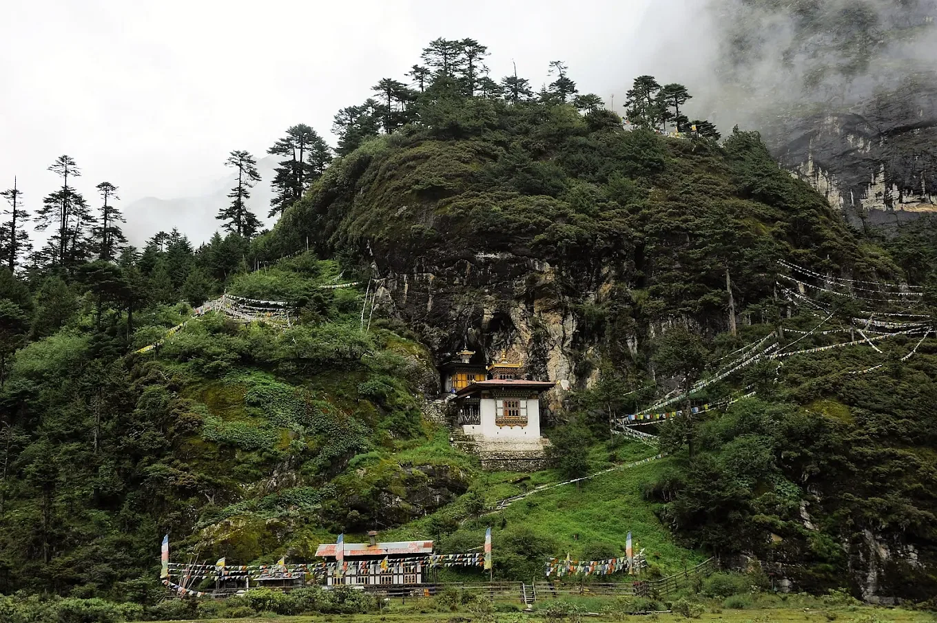 blog-images