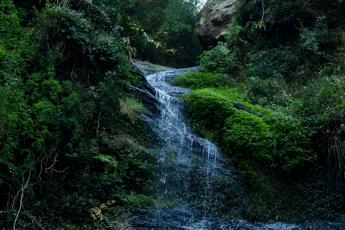 blog-images