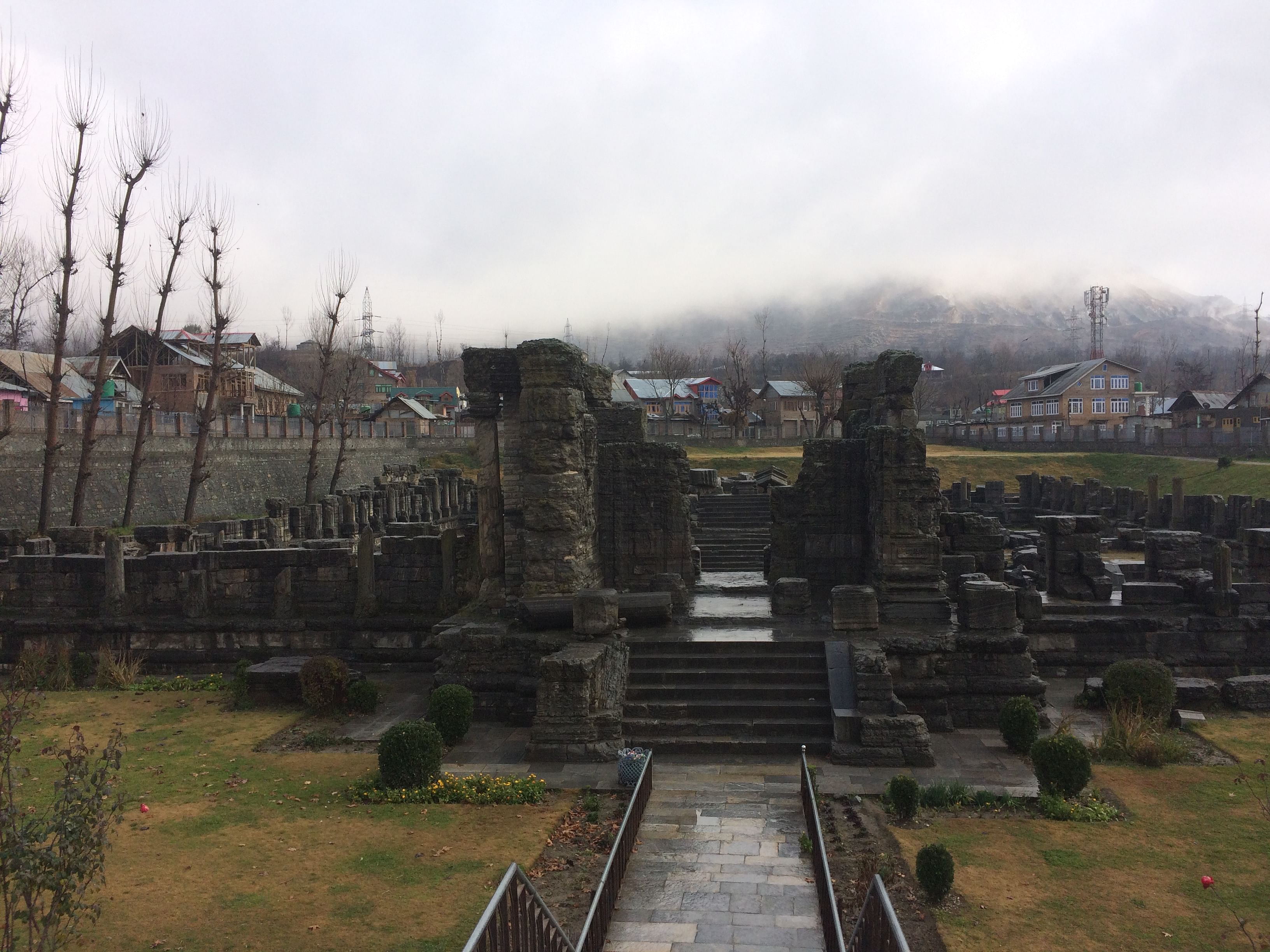 blog-images