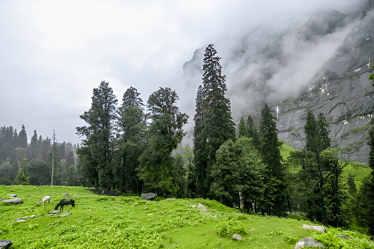 blog-images
