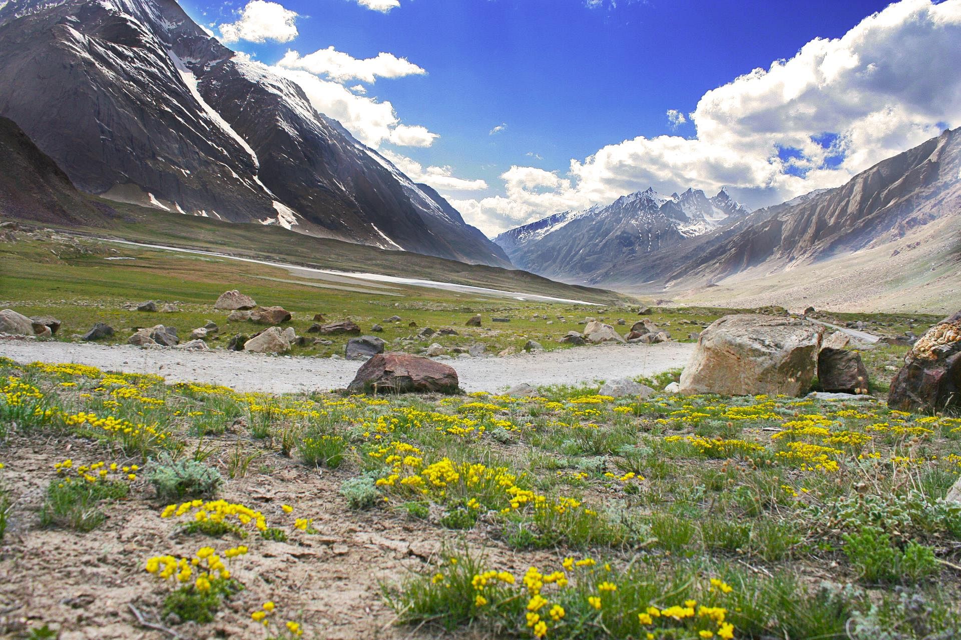 spiti-in-august