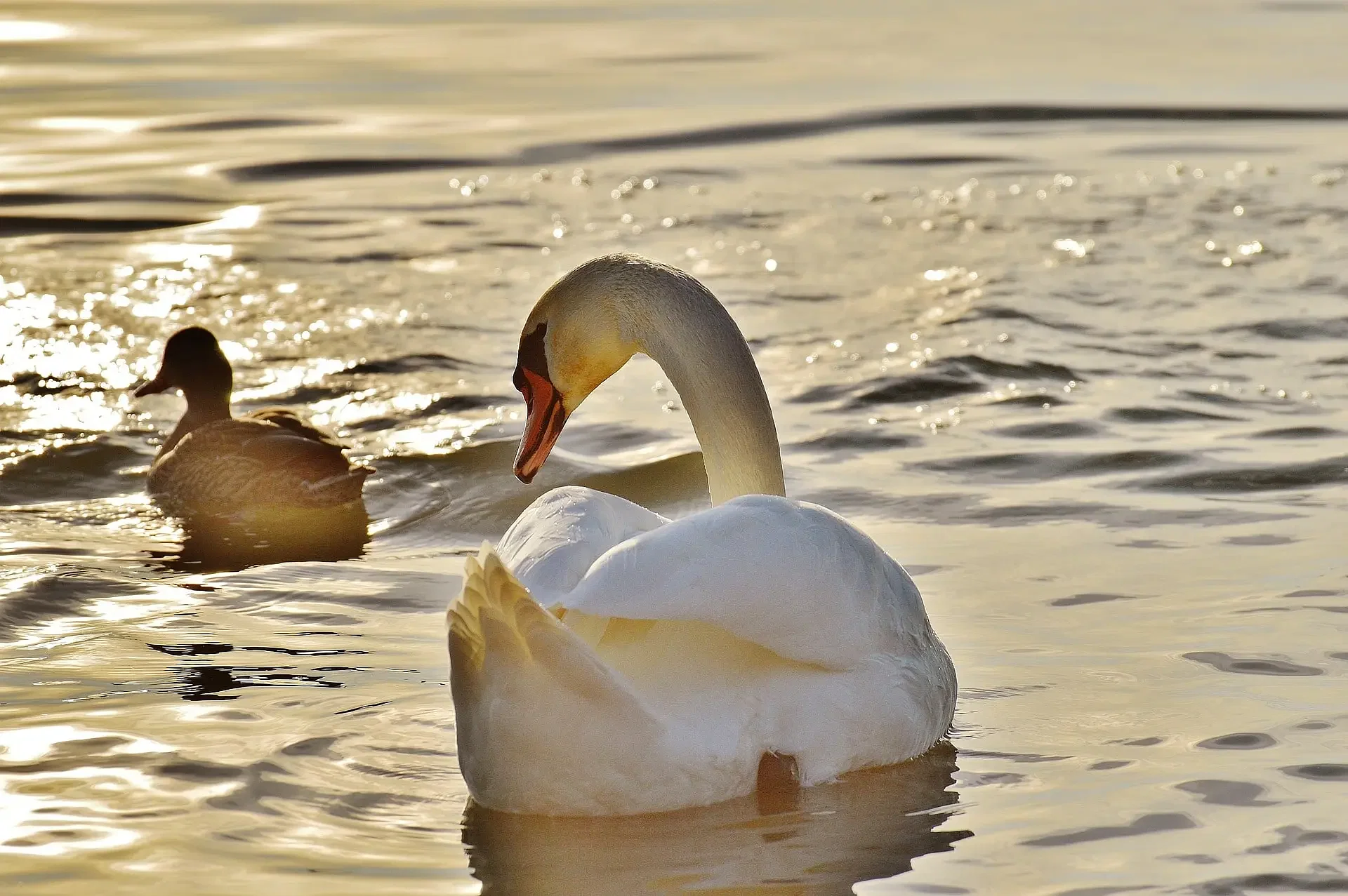 blog-images