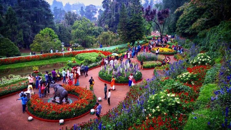 ooty-flower-festival-2024
