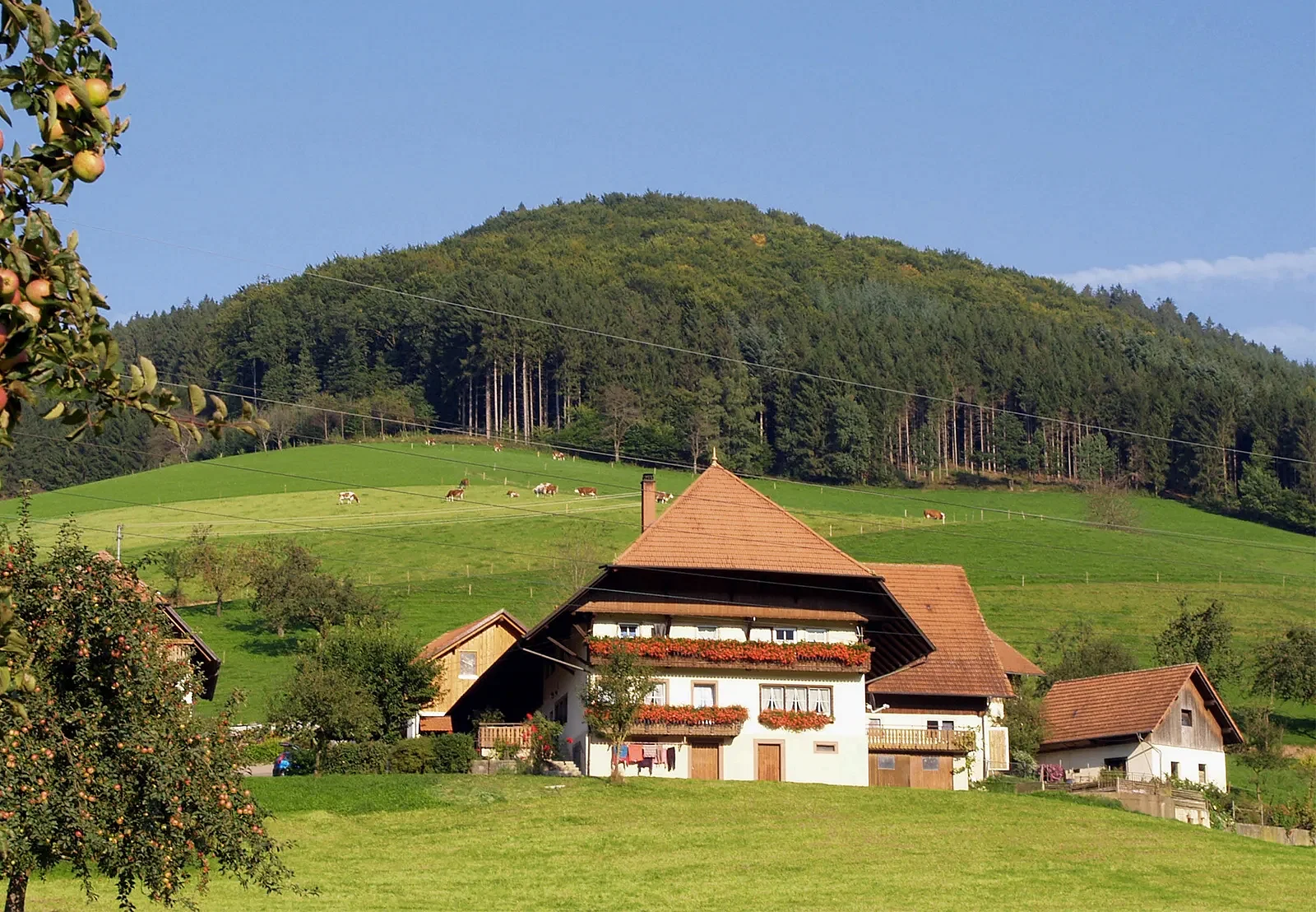 blog-images