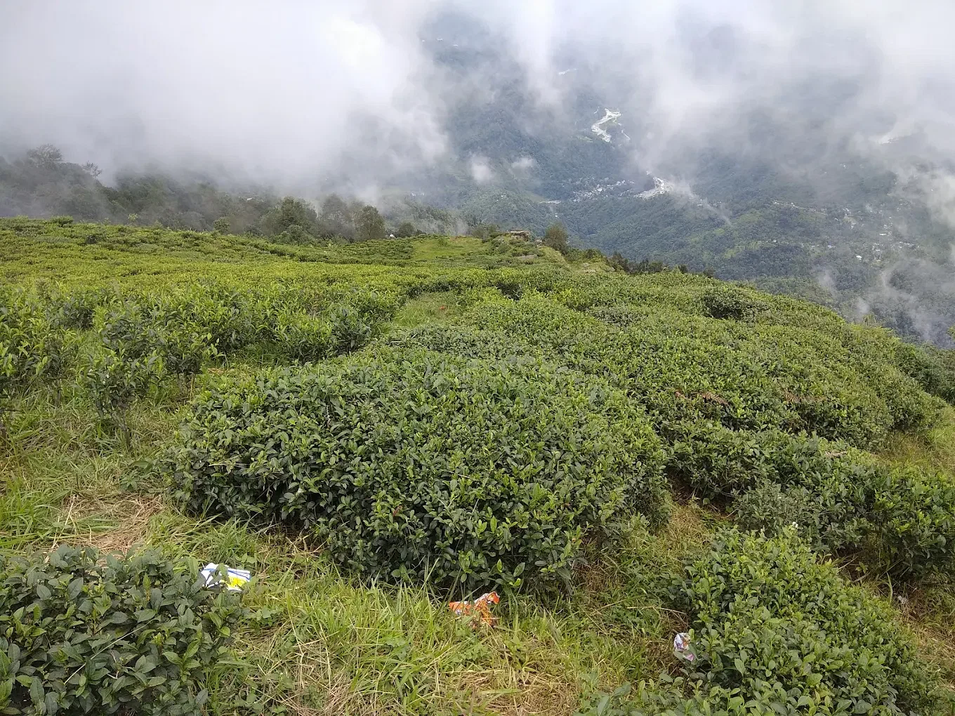 blog-images