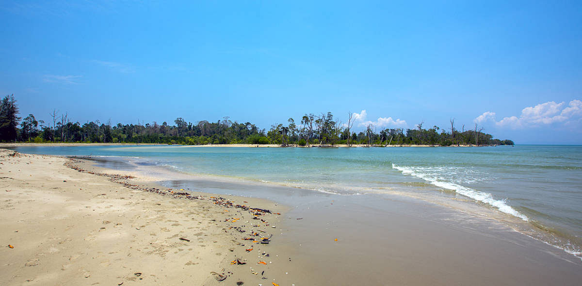 blog-images