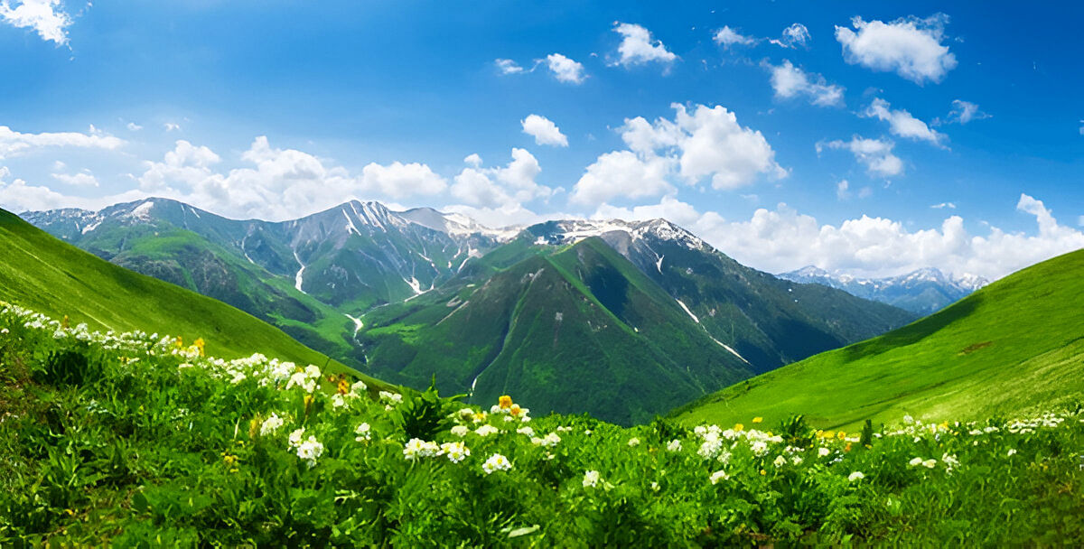 blog-images