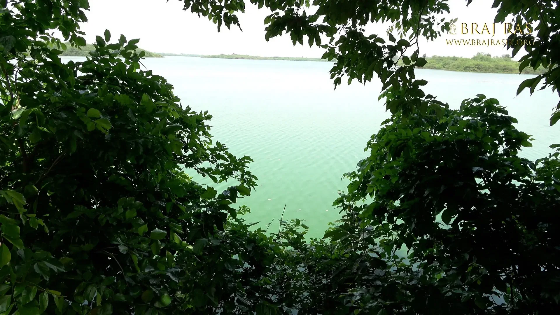 blog-images