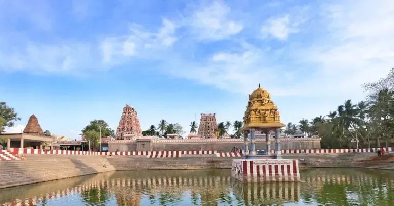 gokilambal-thirukameswar-temple-puducherry