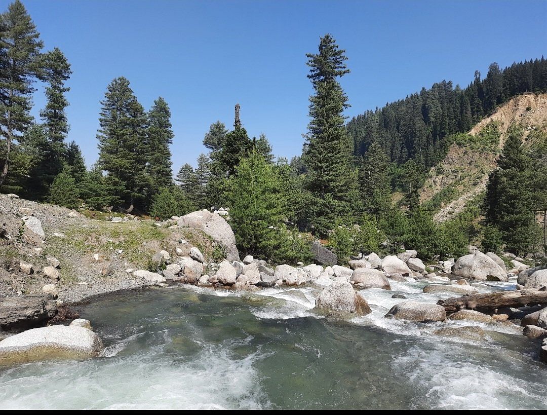 blog-images