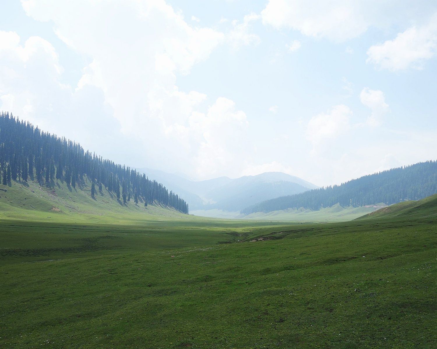 blog-images