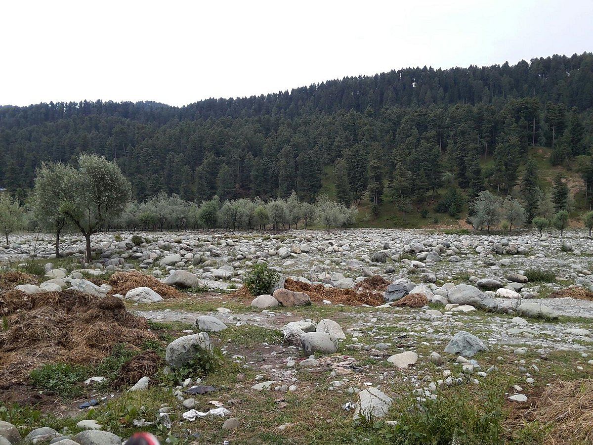 blog-images