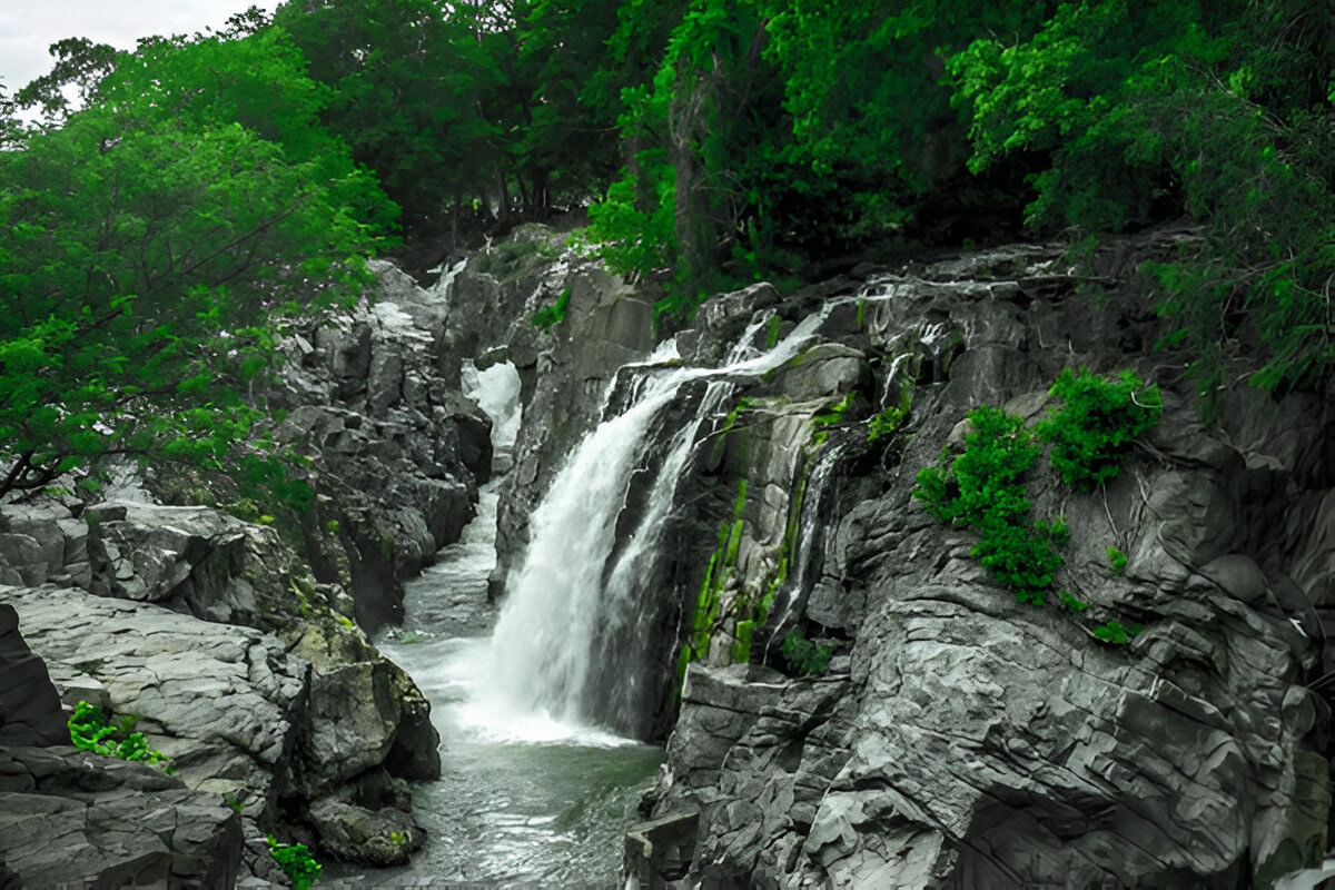 blog-images