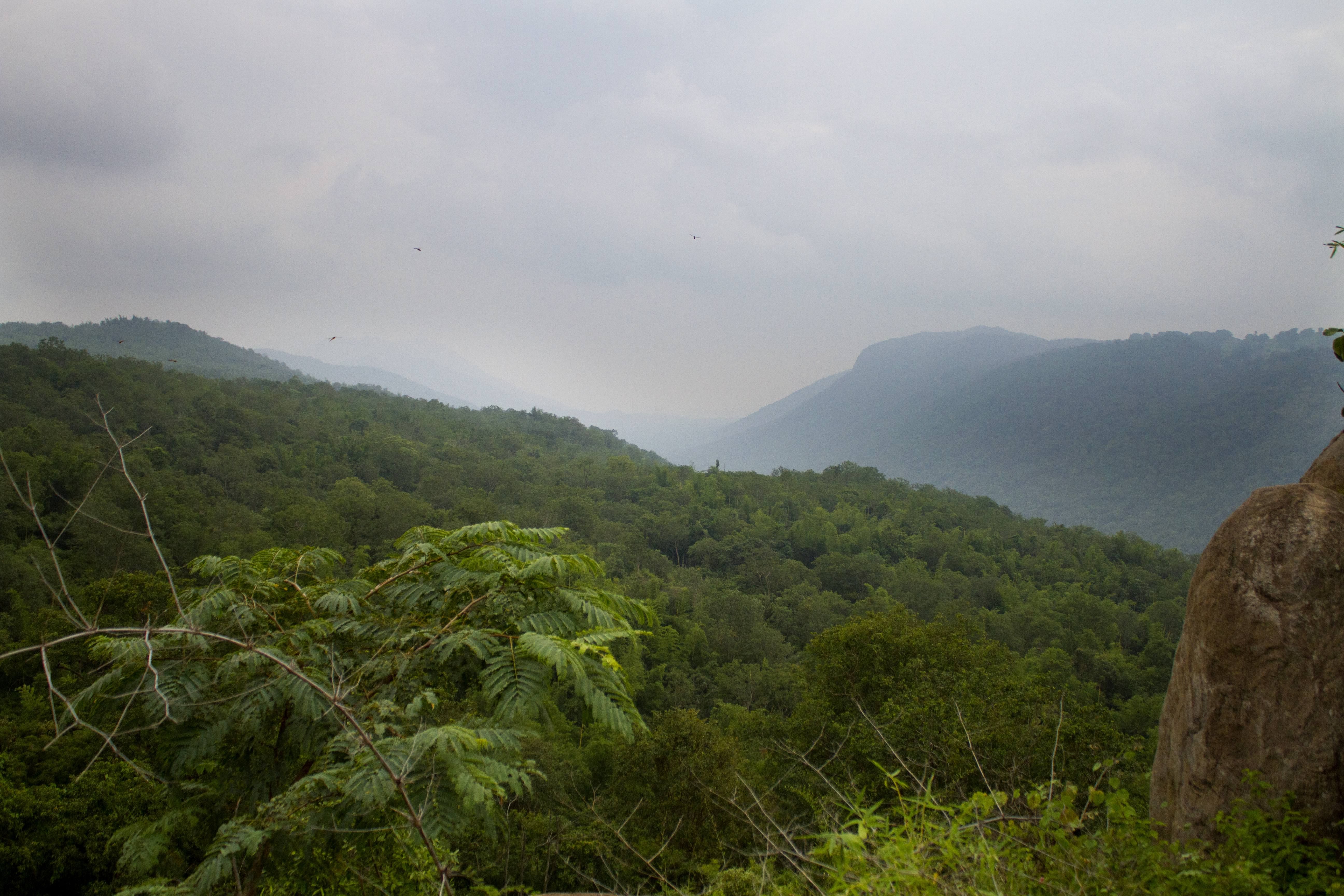 blog-images