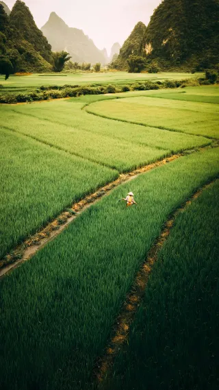 vietnam-group-tour-with-flights-from-delhi-7n-8d