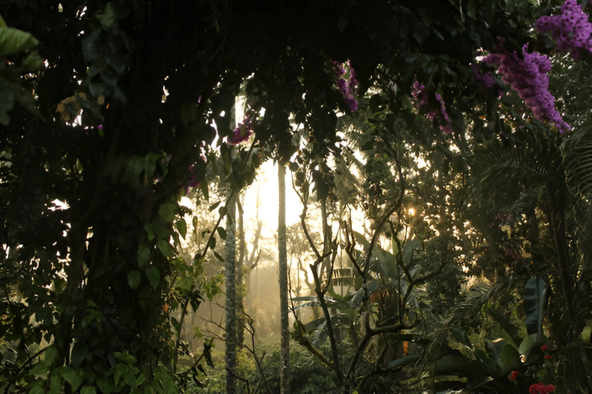 blog-images