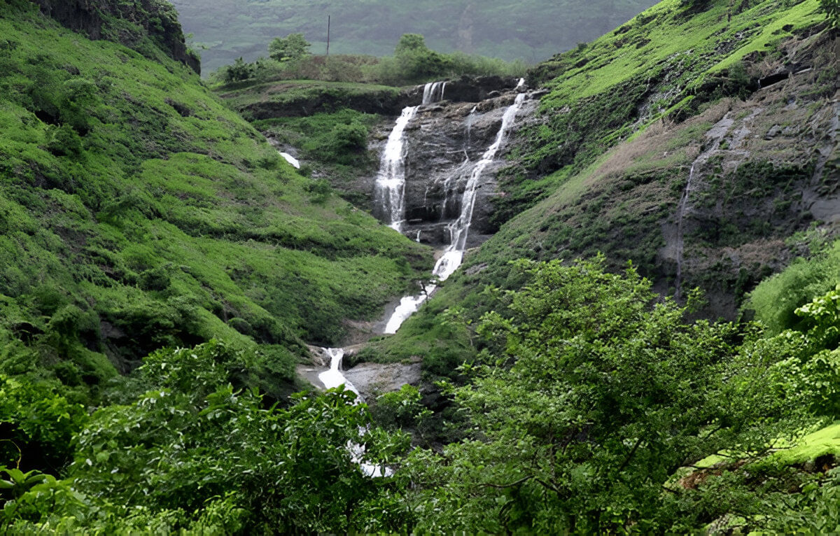 blog-images