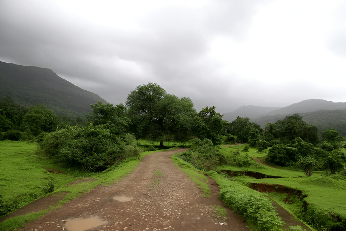 blog-images