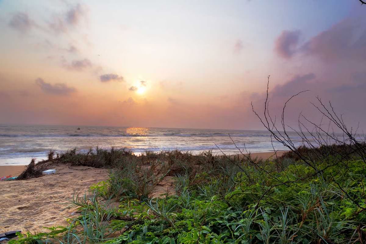 blog-images