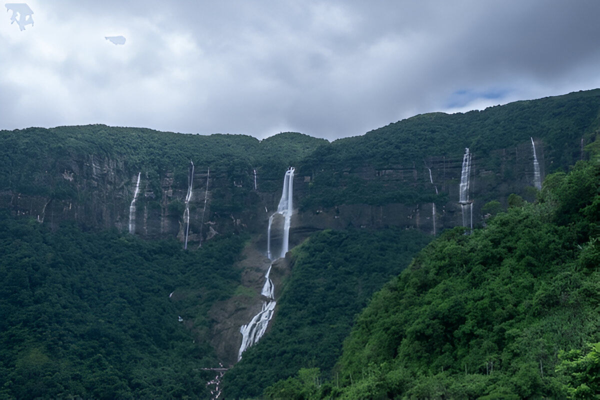 blog-images