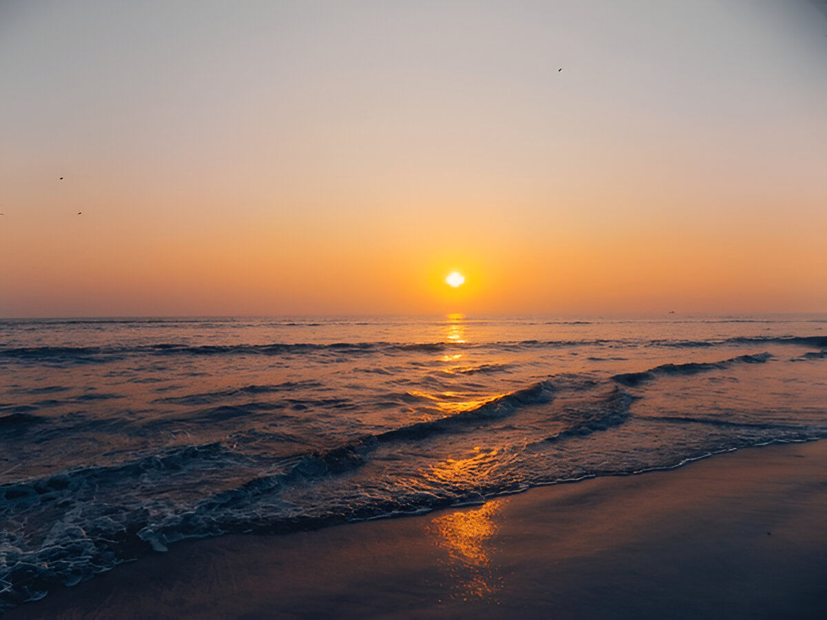blog-images