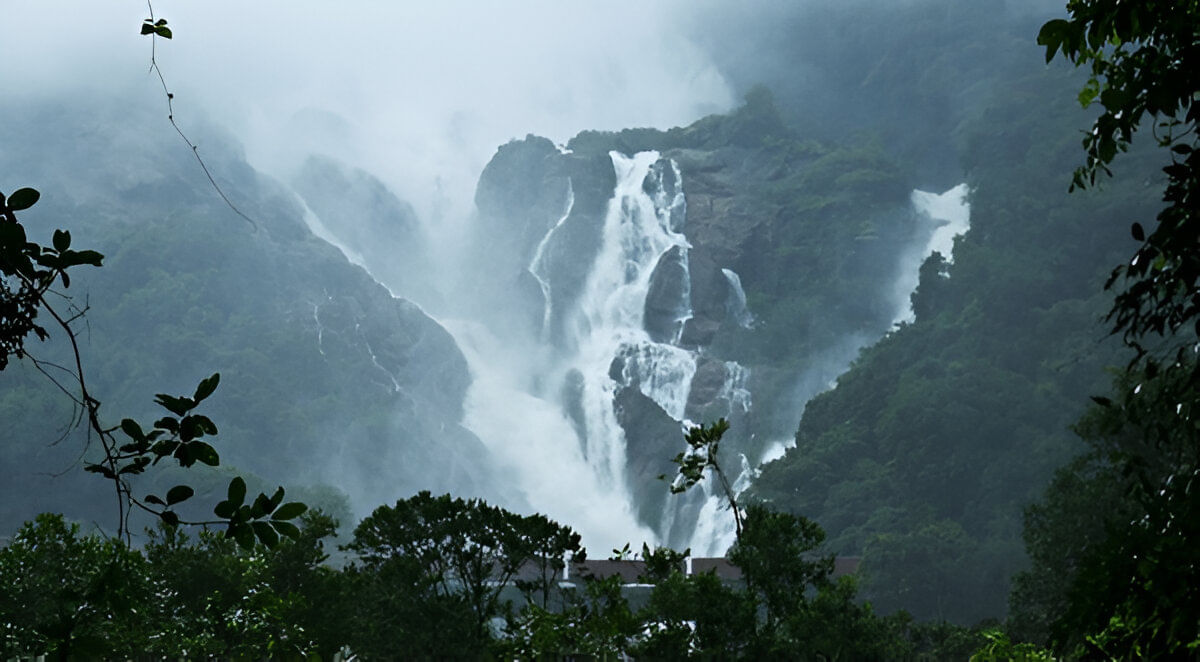blog-images