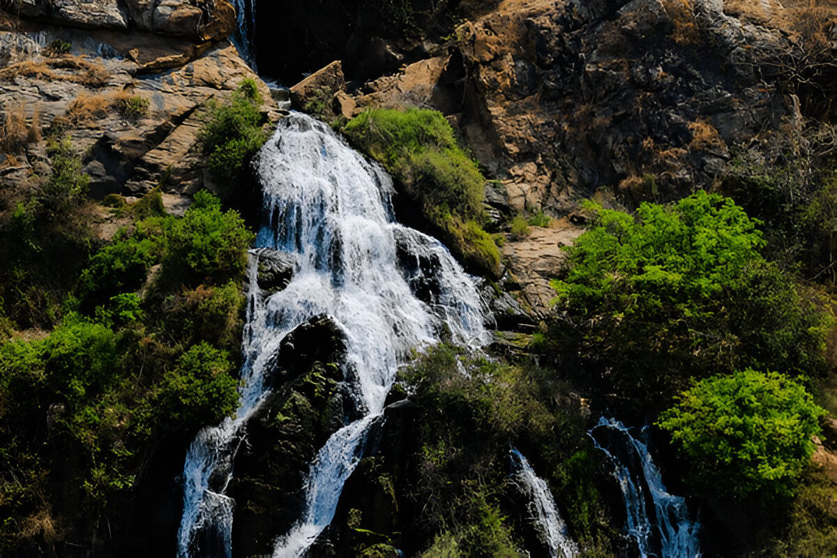 blog-images