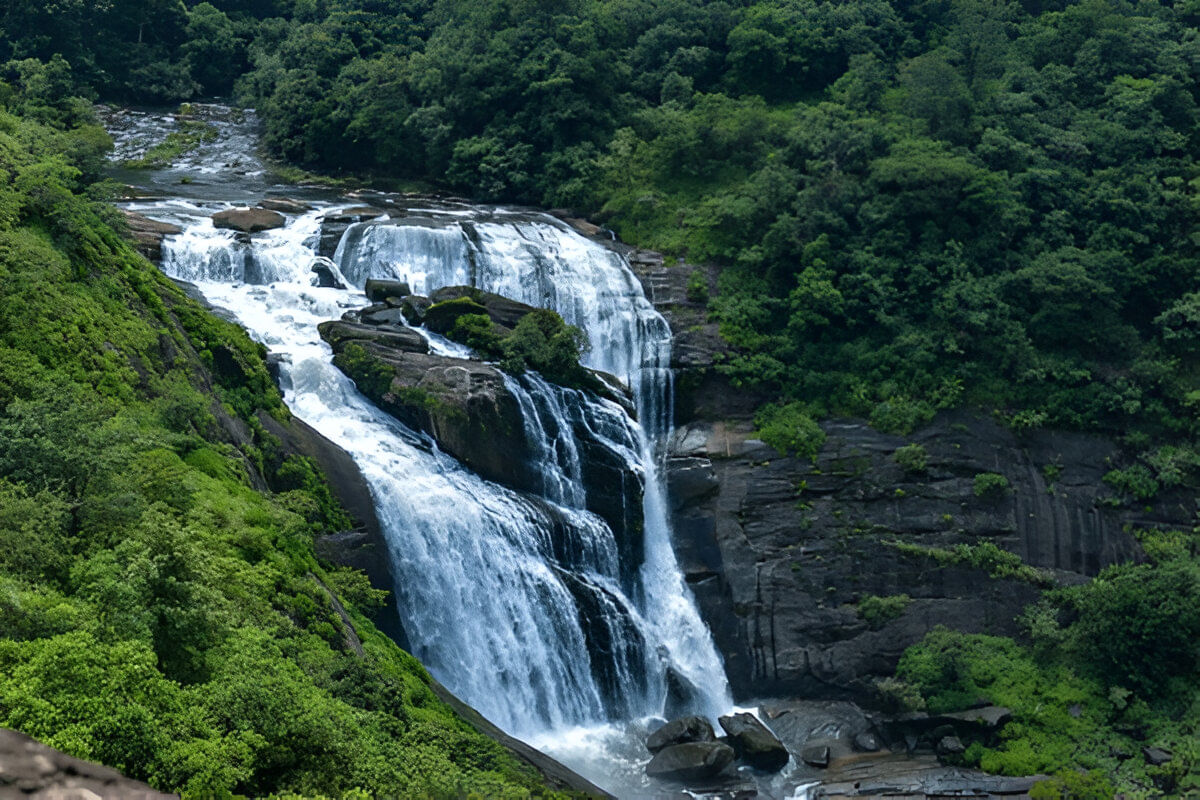 blog-images