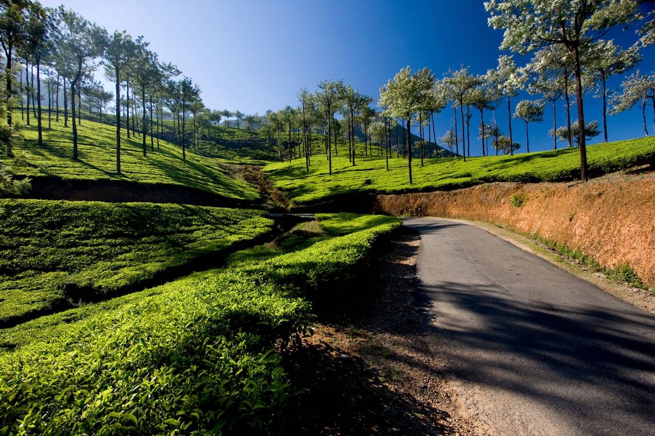 vagamon-kerala