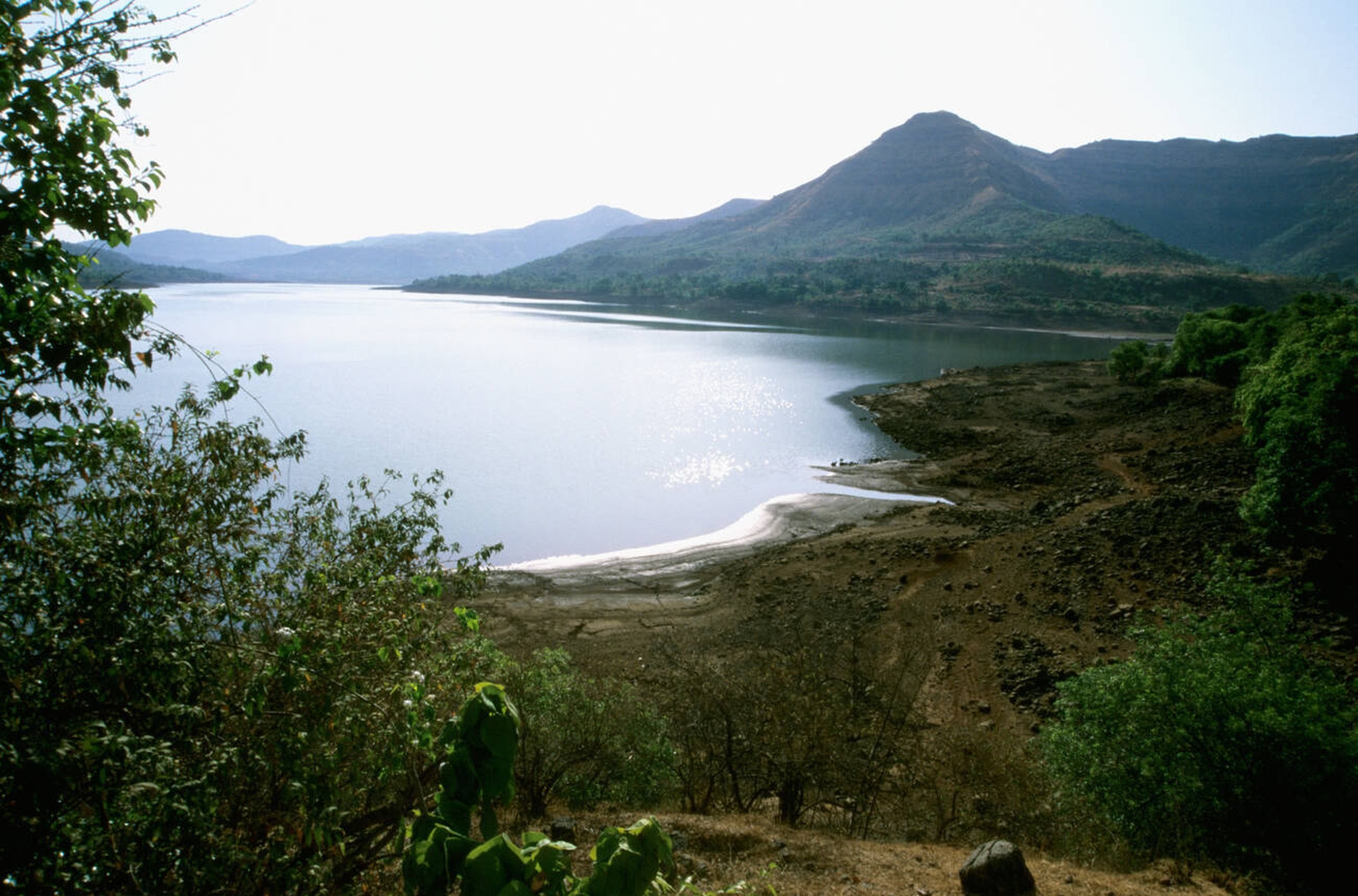 blog-images