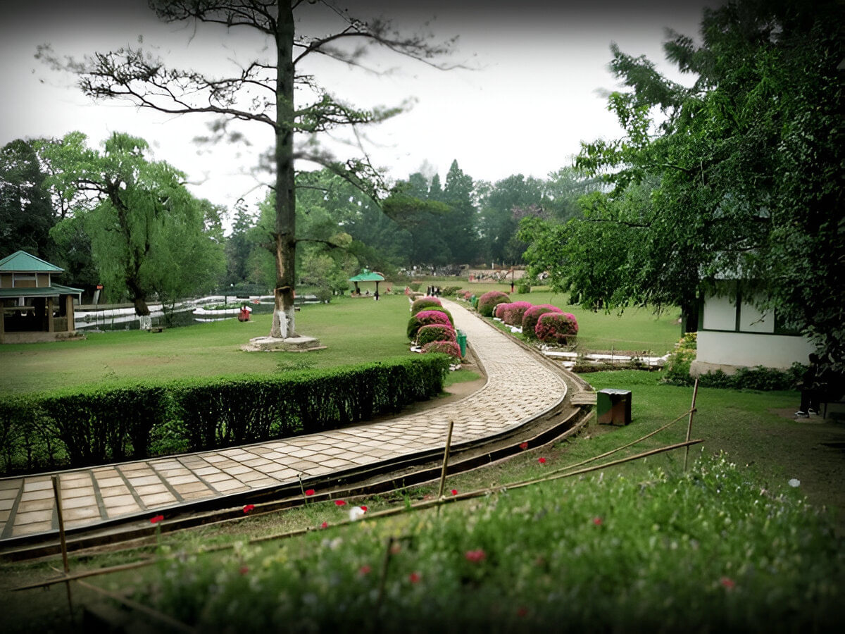blog-images