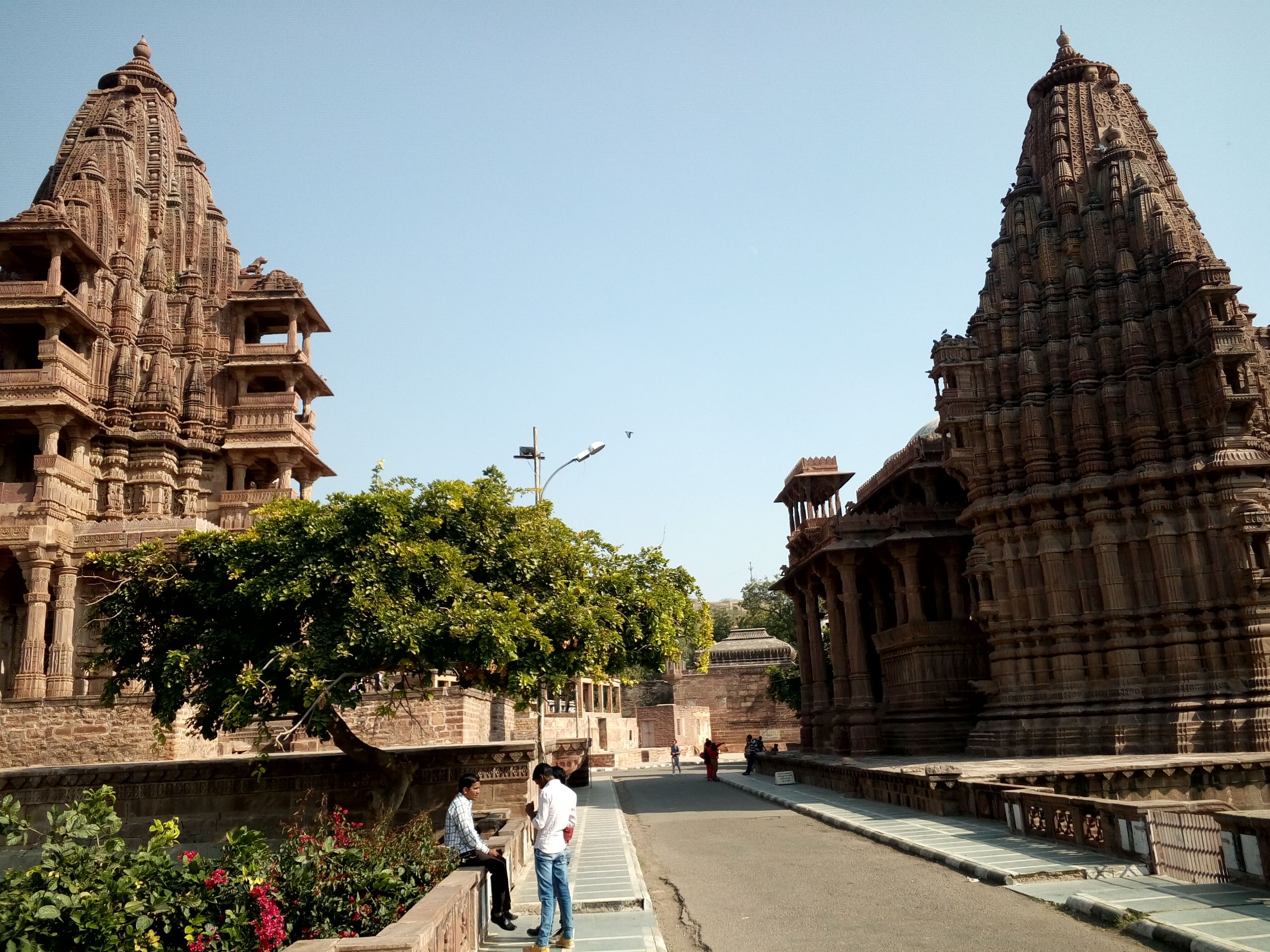 blog-images