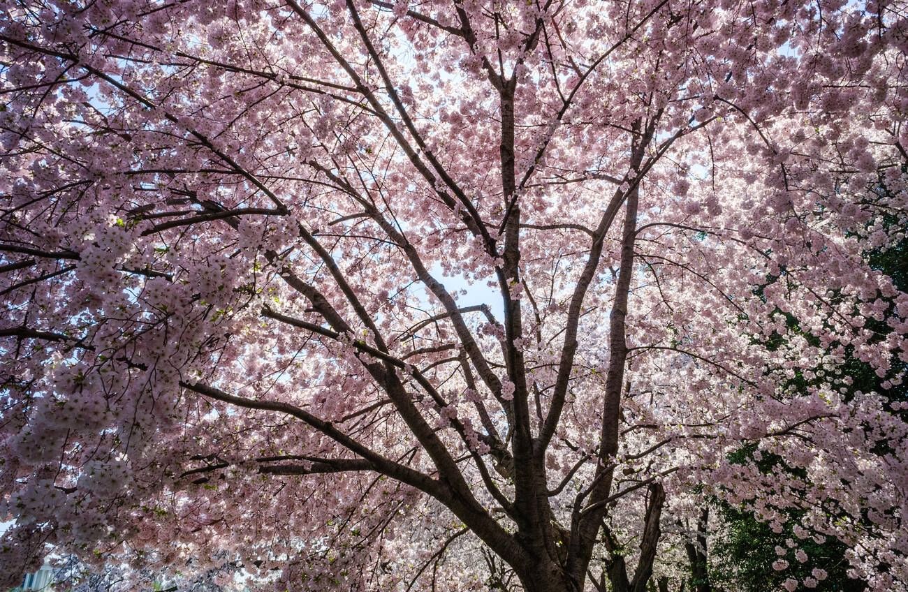 blog-images