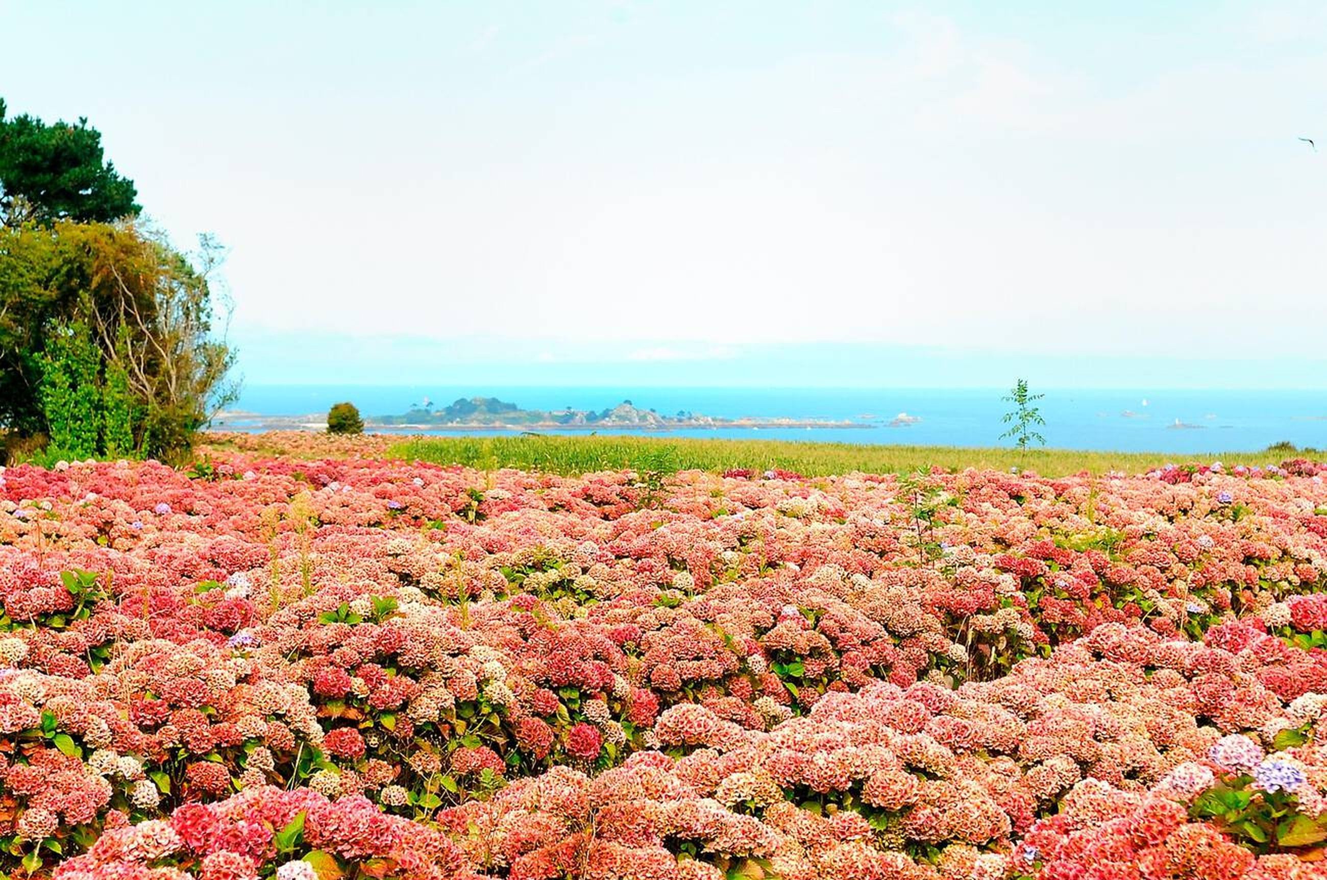 blog-images
