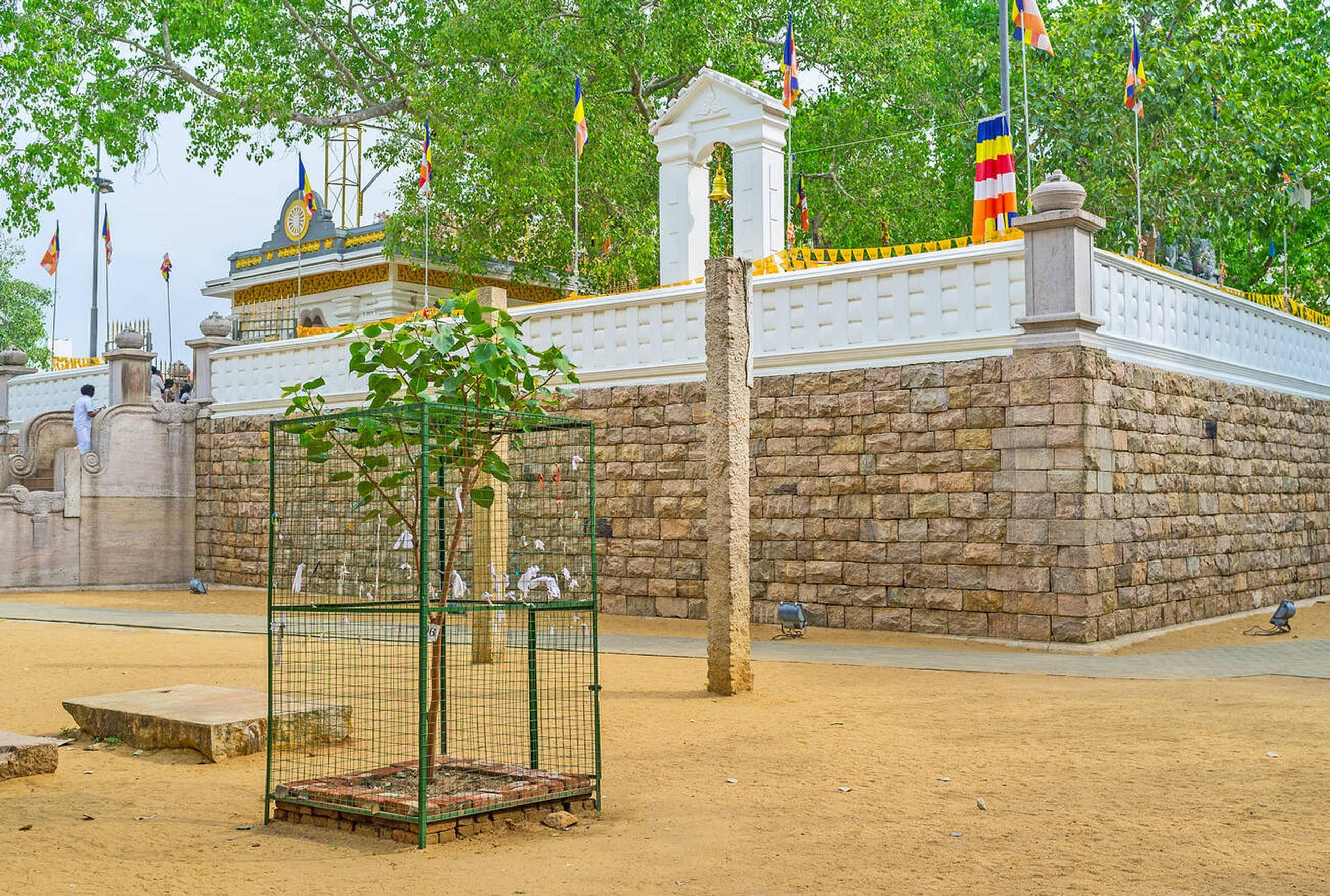 blog-images