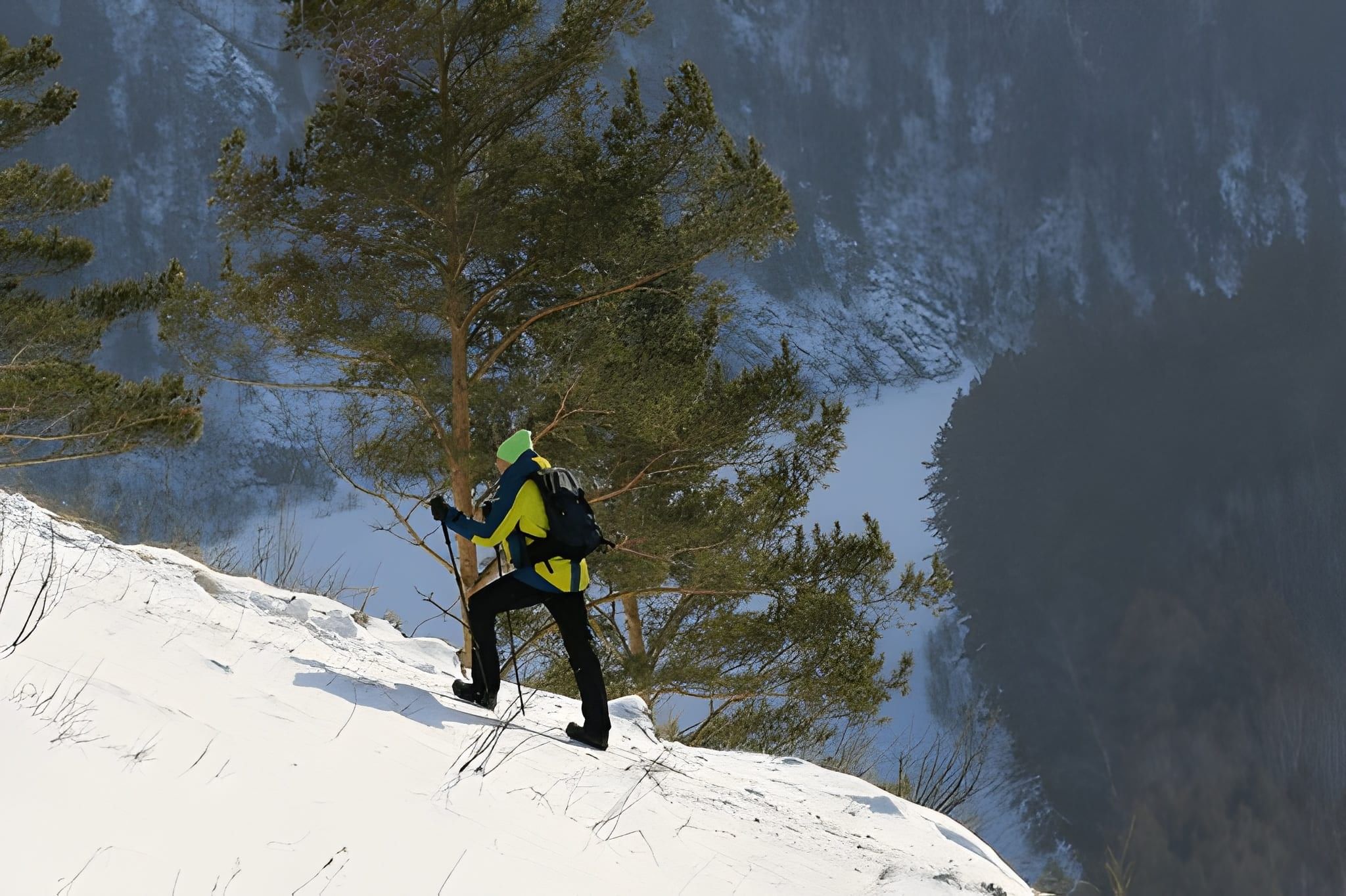 blog-images