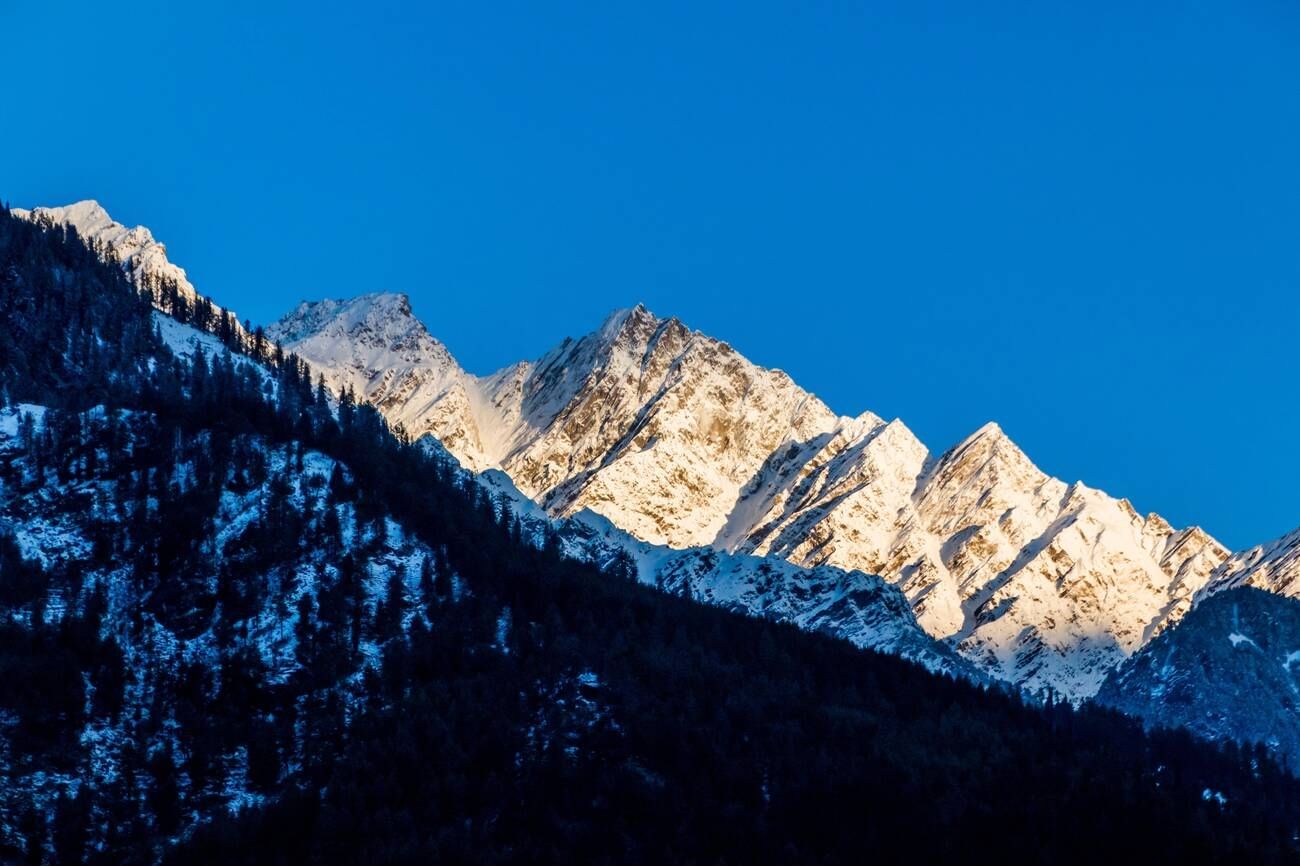 blog-images