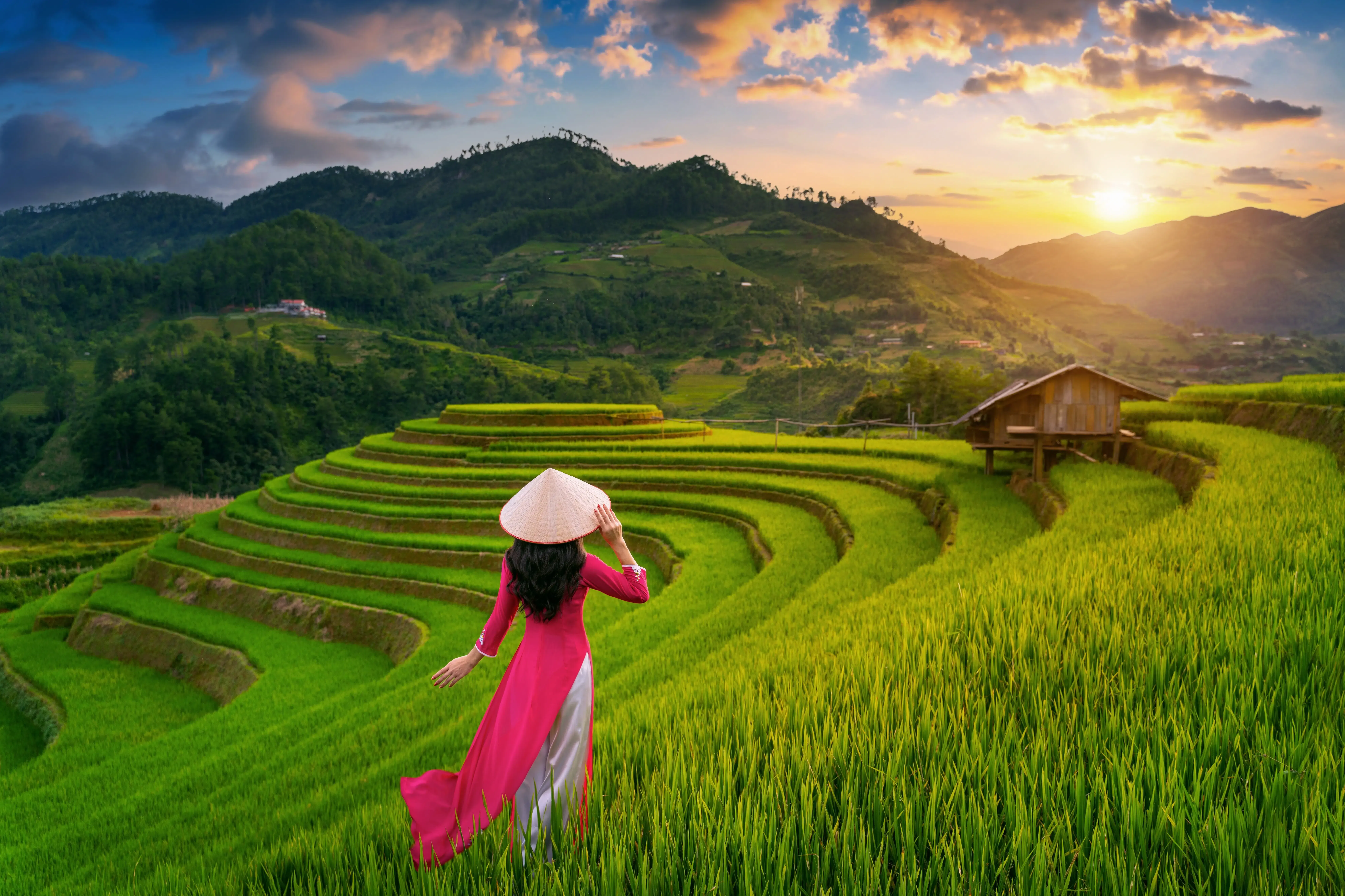 sapa-rice-terraces-vietnam