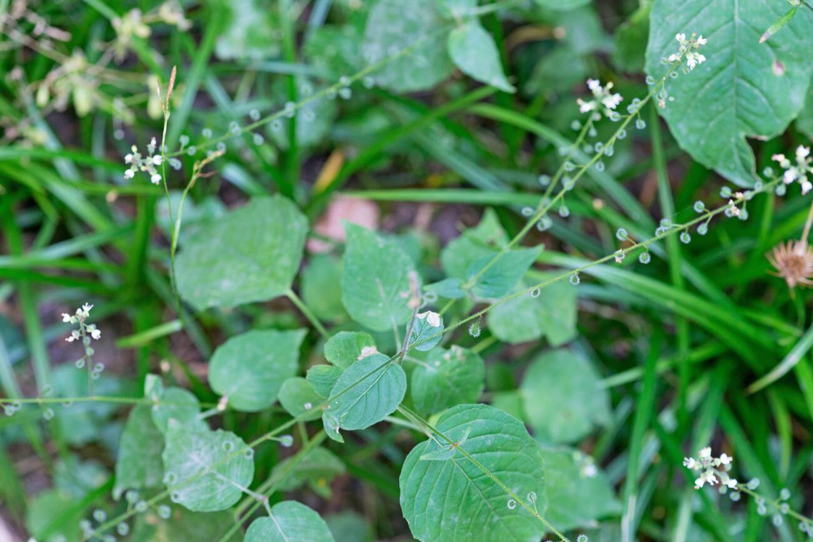 blog-images